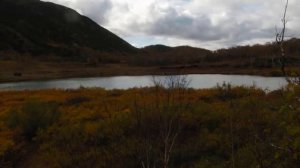 Терпкая камчатка, до свидания!!.mp4