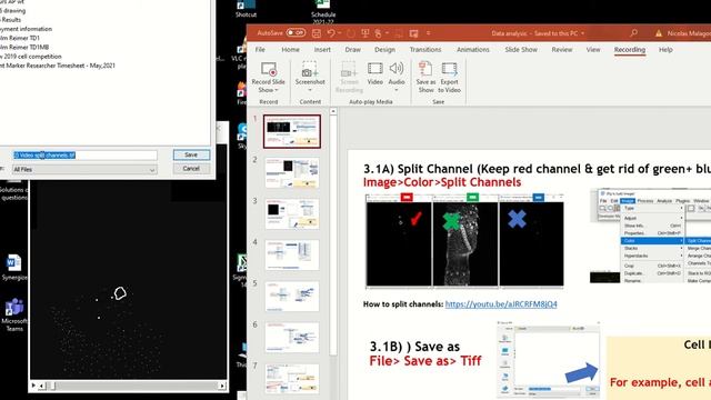 How to save a file in Image Split Channel смотреть онлайн