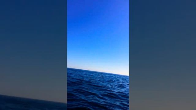 Золотые ворота смотреть онлайн