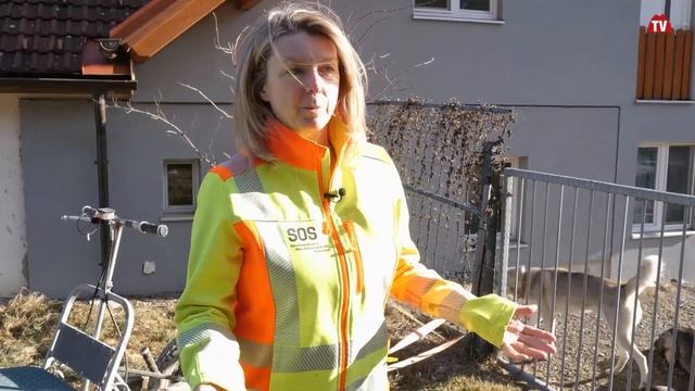 Sylvia Perl mit ihren 7 Huskys | Der Natur im Vulkanland auf der Spur | vulkantv.at смотреть онлайн