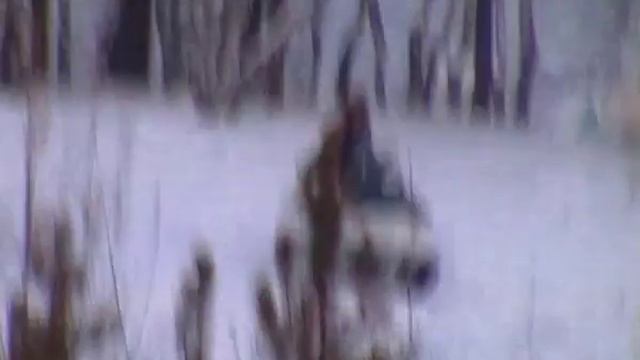 вездеход барсук смотреть онлайн