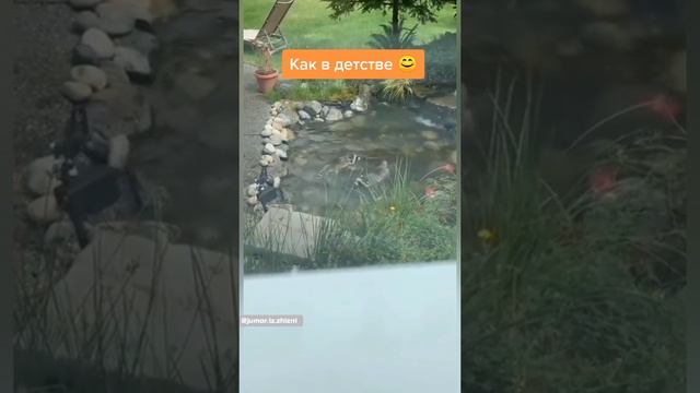 КАК В ДЕТСТВЕ