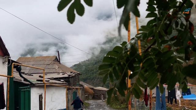 Цумадинский район/село Кеди/Дагестан