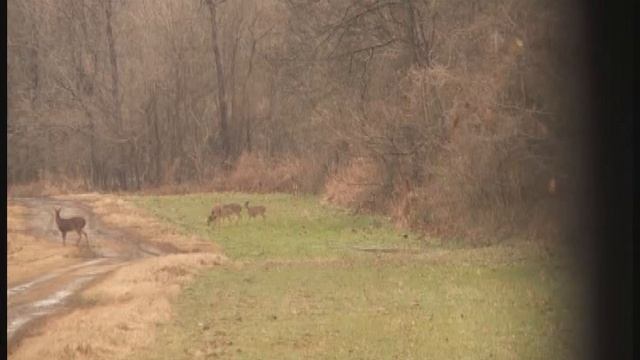 T.P. Outdoors Adventures Wounded Warrior Deer Hunt (Ish смотреть онлайн