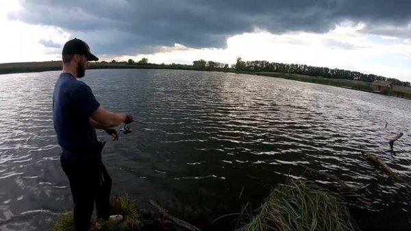 Favorite Skyline SKY-832L (первые окуня )