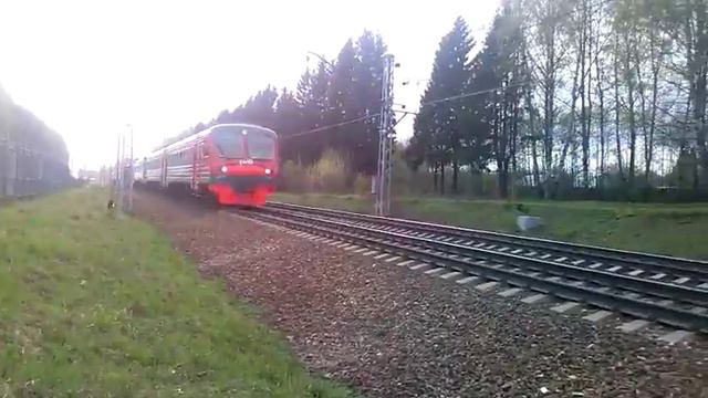 Электропоезд Эд4м-0161 смотреть онлайн