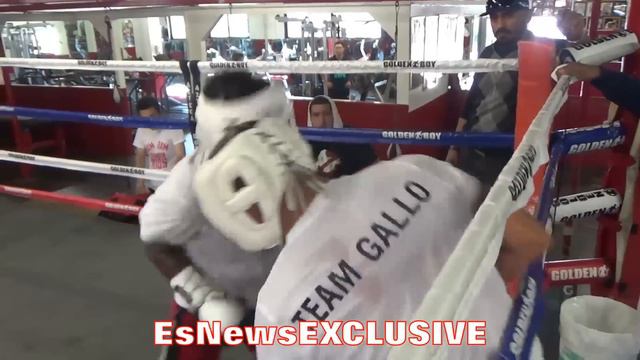 Giovani Segura HEAVY SPARRING with Oscar Negrete - EsNews Boxing смотреть онлайн