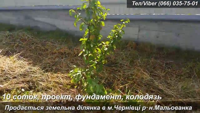 ділянка під житлову забудову, Чернівці, р‑н. Мальованка, Хутірська смотреть онлайн