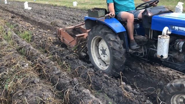 Копаем картошку. САМОДЕЛКОЙ.ПОЛНЫЙ ПРИЦЕП КАРТОШКИ смотреть онлайн