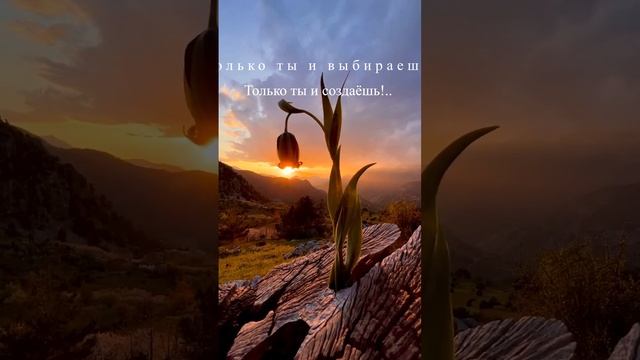 Каждый день - это подарок... Стихи. смотреть онлайн