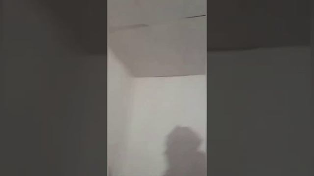 Офис фактуровичная из морского контейнера смотреть онлайн