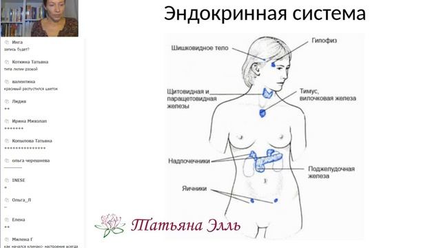 Татьяна Элль смотреть онлайн