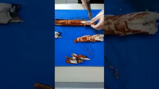 Угорь для  роллы Филадельфия в угорь /////////////