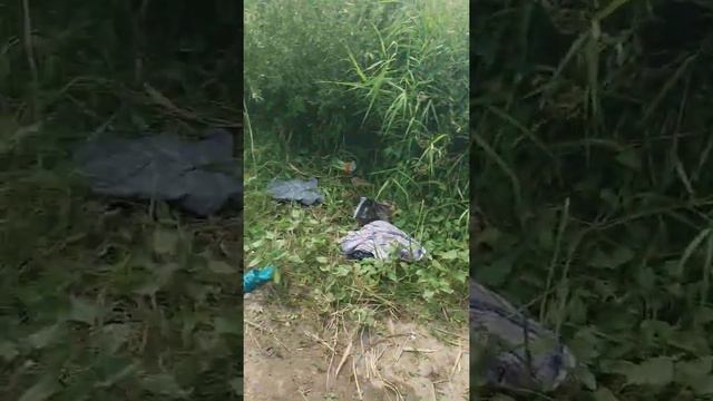 отдых на урале оренбург 2020 год. смотреть онлайн