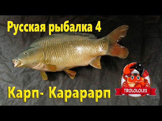 Русская рыбалка 4. Фарм на янтарке. смотреть онлайн