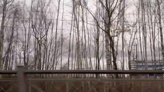 Автобус 201 "Кировский завод - Ж/д станция "Новый Петергоф" смотреть онлайн