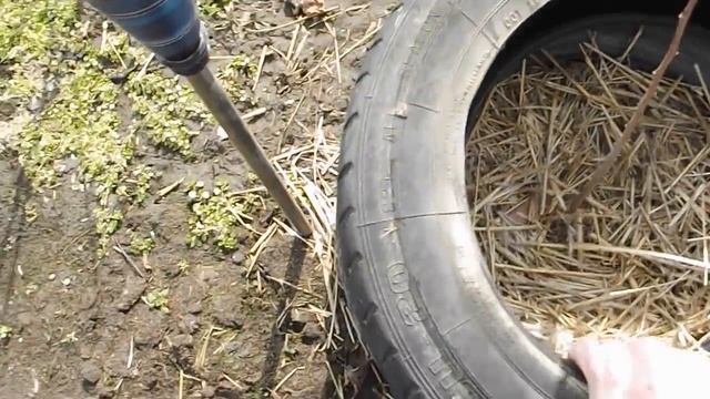 азимина трехлопастная (банановое дерево) весной. на юге Украины... смотреть онлайн