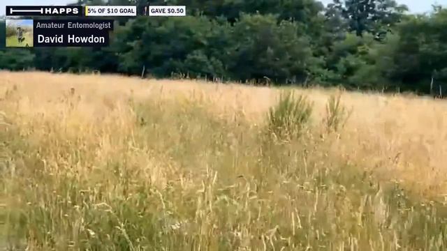 Brief broadcast from Santon Warren, Norfolk. смотреть онлайн