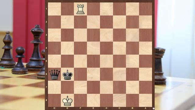 Шахматы пат, мат и шах смотреть онлайн