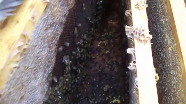 Замена маломедных рамок . смотреть онлайн