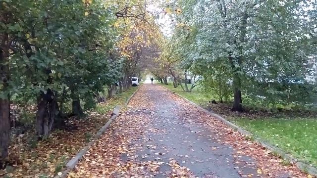 Утро, Екатеринбург, ЖБИ, Осень..... смотреть онлайн