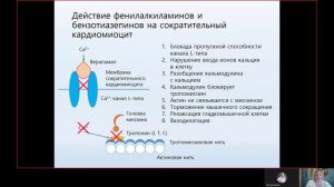 Фарма ВСЕ 10.4. Блокаторы кальциевых каналов в кардиологии.mp4