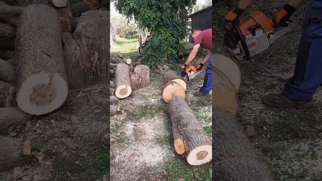Stihl ms 440 смотреть онлайн