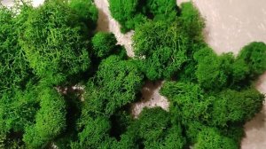 Стабилизированный мох. Что это такое? Уход. Обзор трех брендов.