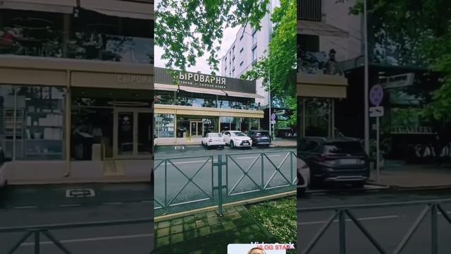 Контрасты Сочи. Сыроварня Аркадия Новикова на ул.Орджоникидзе смотреть онлайн