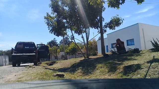 ¡DO GOOD THINGS! - Planting A Fence Of Aloe Arborescens Miller