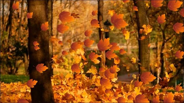 Осенний вальс смотреть онлайн