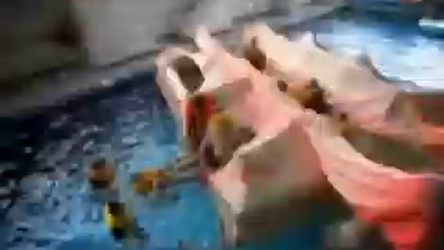 Опыты дилетанта. Бортпроводники