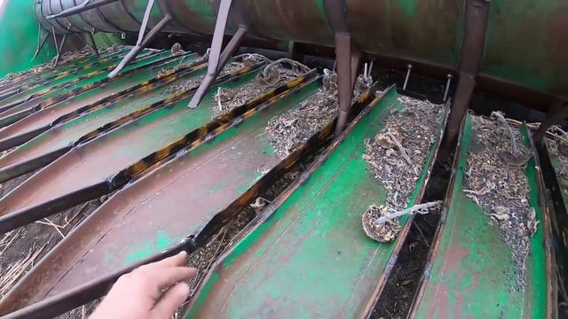 ДОН-1500Б, Палессе GS12 . Начинаем уборку подсолнечника. смотреть онлайн