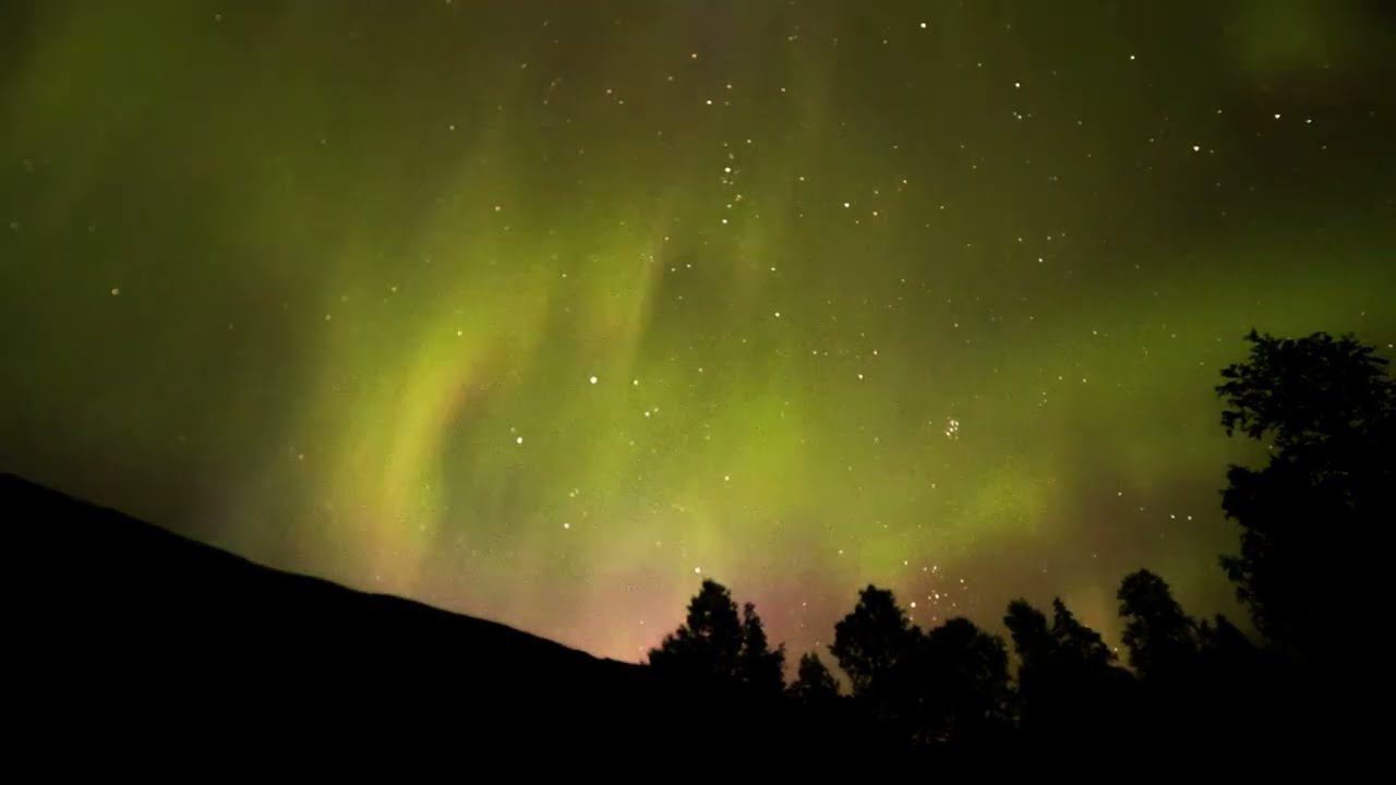 Feelings (Radio Edit)