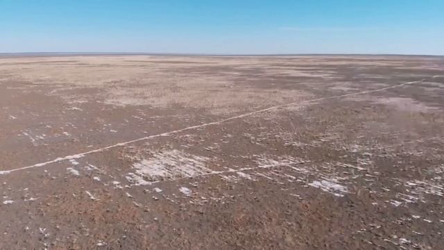 Начало регенерации пастбищ в Бокейординском районе смотреть онлайн
