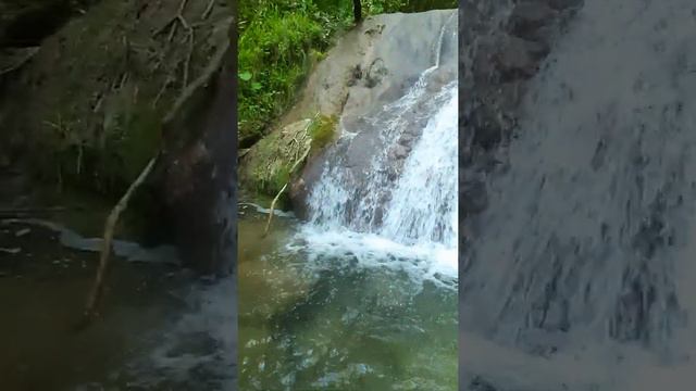 Источник жизни и молодости секрет смотреть онлайн