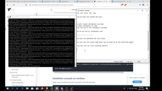 Vite FullNode Linux Tutorial смотреть онлайн