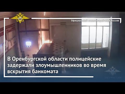 Ирина Волк: В Оренбургской области полицейские задержали злоумышленников во время вскрытия банкомата смотреть онлайн