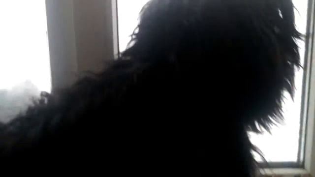 Камчатка. Циклон. смотреть онлайн