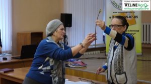 Виноград - ответы на ваши вопросы. Вопросы об уходе за виноградом и не только.