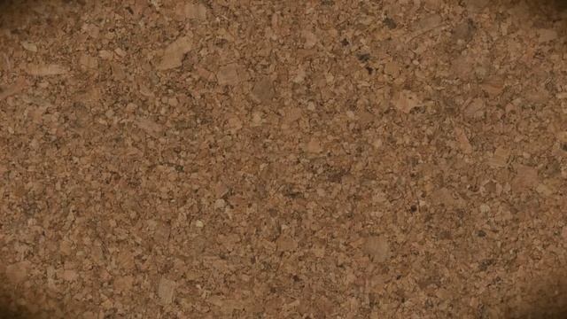 Därför IGNORERAS viss ANTISEMITISM смотреть онлайн