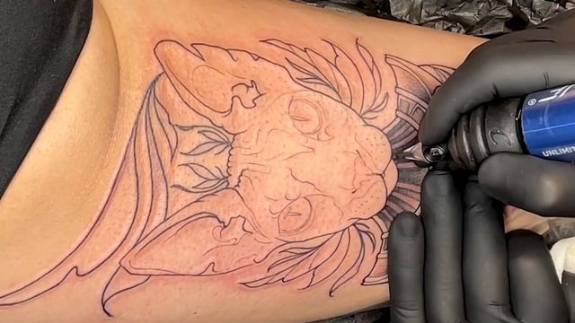 Egypt Cat #timelapse With Realtime Lining And Shading #tattoo #tattooartist