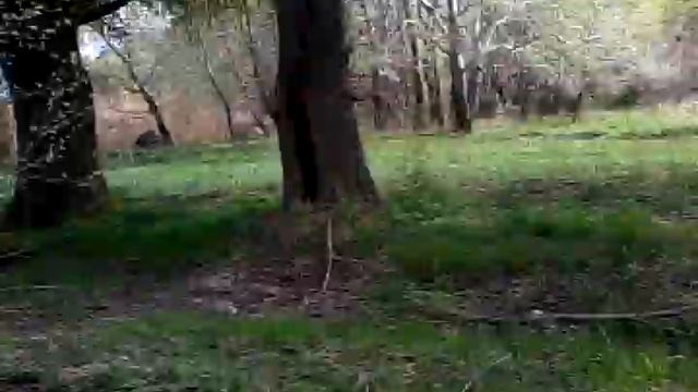 Укрепление берега Днепра смотреть онлайн