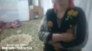 БОЗ ЯК КЕЛИНИ ХОНАРА КАПИДАН