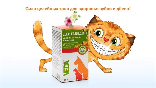 ДЕНТАВЕДИН - зоогигиеническое средство для ухода за ротовой полостью смотреть онлайн