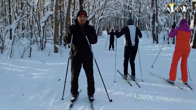 Барсучье поздравление смотреть онлайн