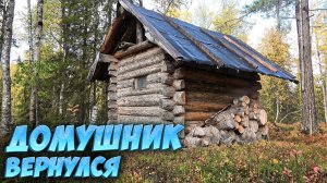 ОХОТА В ОКРЕСТНОСТЯХ БАЗОВОЙ. ДОМУШНИК ЗАСВЕТИЛСЯ. ВНЕ СЕТИ.