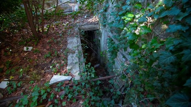 Кукла ПОППИ поймала ВЛАДА А4 ! смотреть онлайн