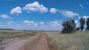 Романтика степей Алтайского края.😊