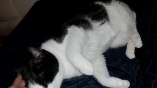 Lula_3 смотреть онлайн